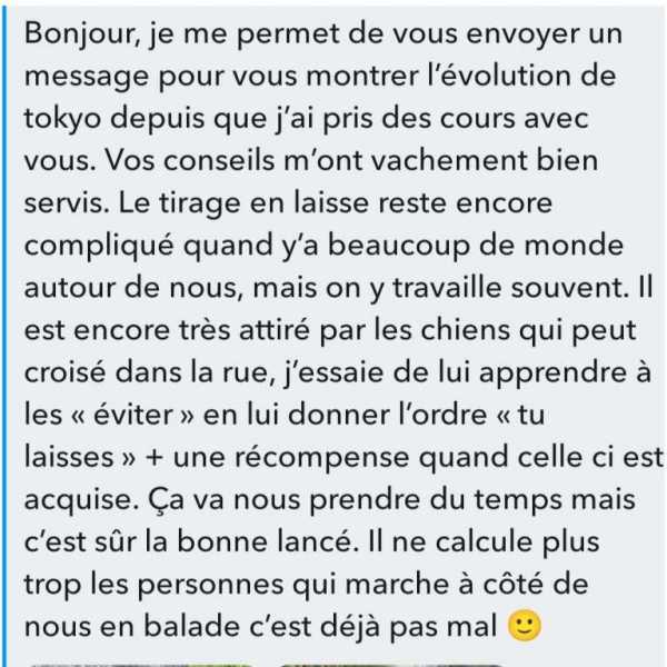 Apprentissage de la marche en lesse 